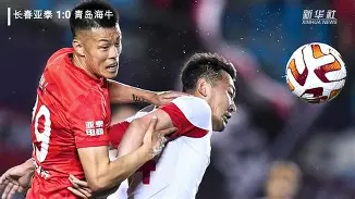 IM电竞-斯洛伐克国家队出场次数排名